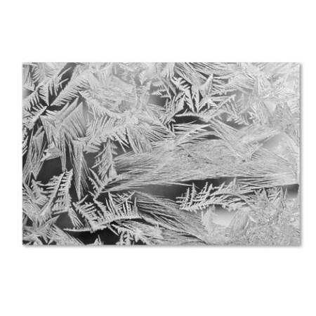 Trademark Fine Art Kurt Shaffer 'Frost Pattern No 2' Canvas Art, 12x19 KS513-C1219GG